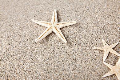 《使命召唤手游》X《攻壳机动队》联动 8月上线